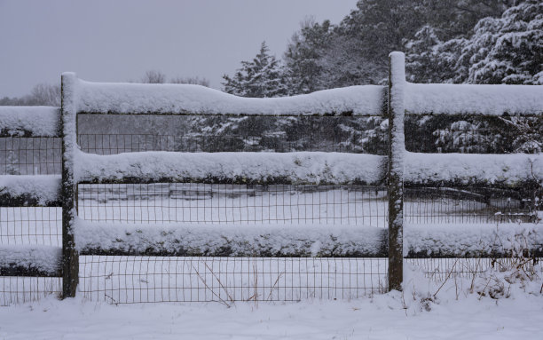 白雪覆盖牧场