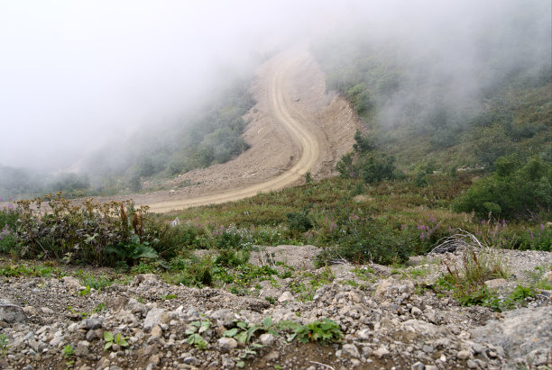 云雾中的公路