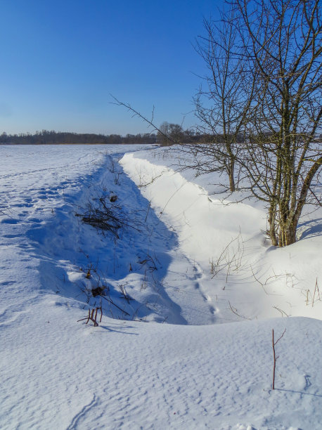 冬日里的雪景