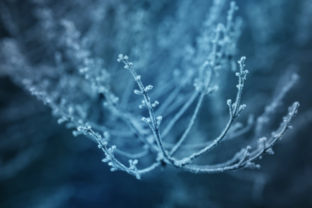 积雪寒冷小雪小寒大寒