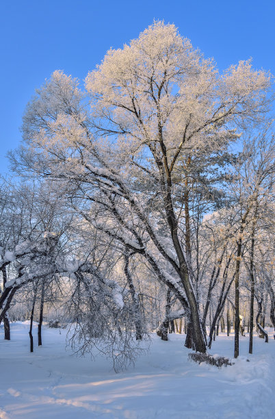 小雪清爽