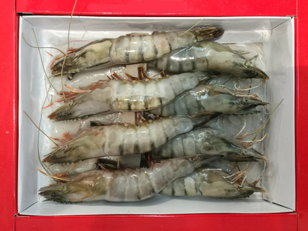 海鲜美食宣传