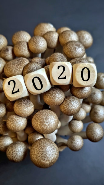 2020创意数字