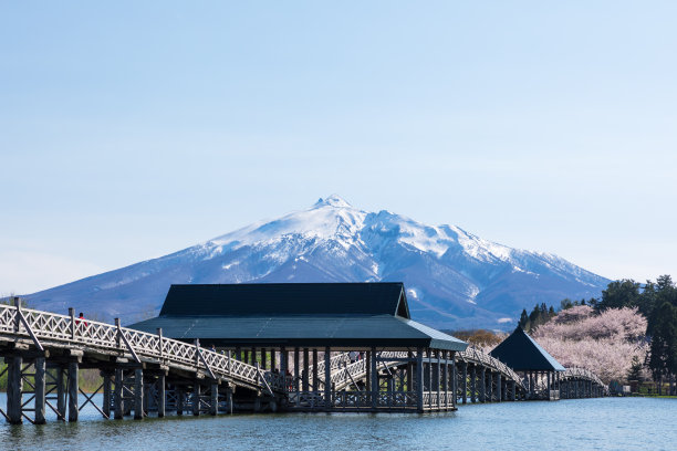 雪山和樱花风景