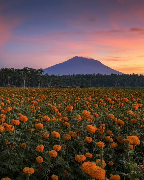 著名的富士山