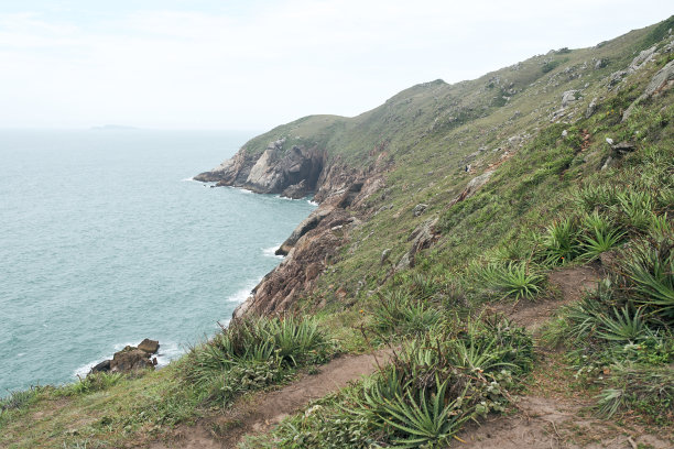 阳光森林小路,高清全景