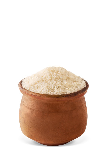 稻米素材