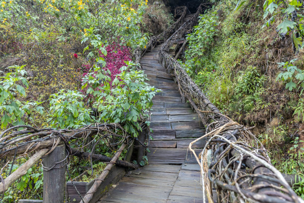 长满青草的山坡