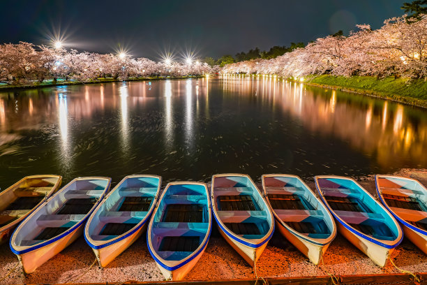 夜景樱花