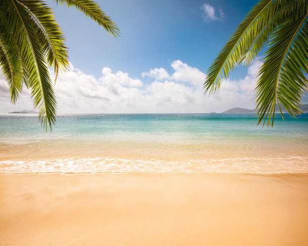 夏日海滩背景