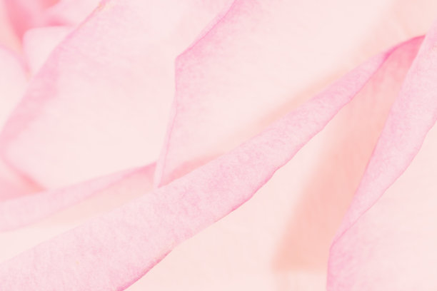 粉色小花底纹背景