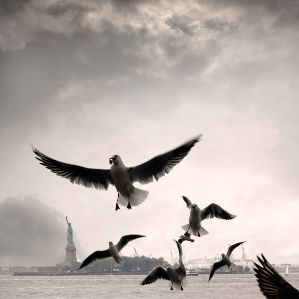 和平图片素材 和平设计素材 和平摄影作品 和平源文件下载 和平图片素材下载 和平背景素材 和平模板下载 搜索中心