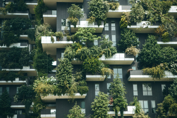小区建筑与绿化