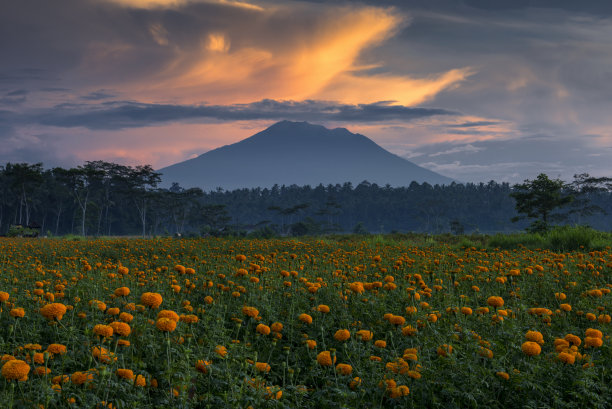 著名的富士山