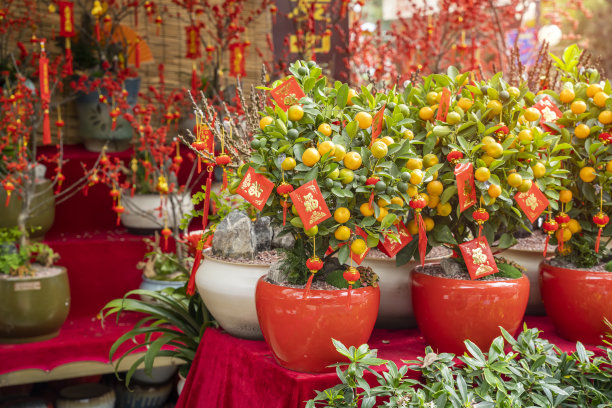 传统春节祝福挂件