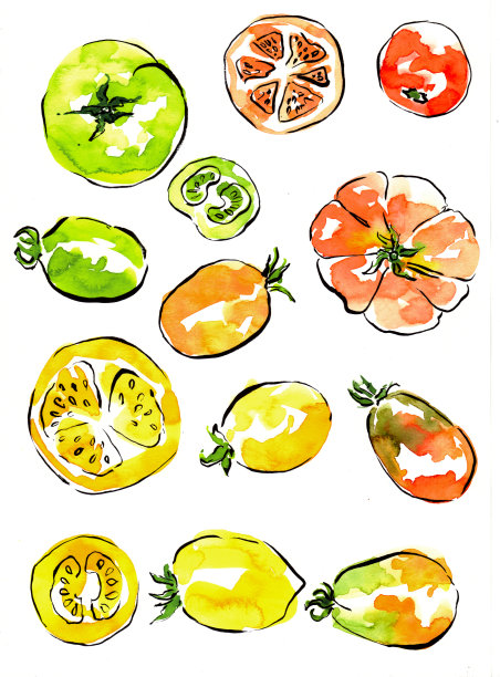 蔬菜手绘图