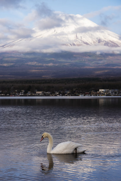 春日富士山