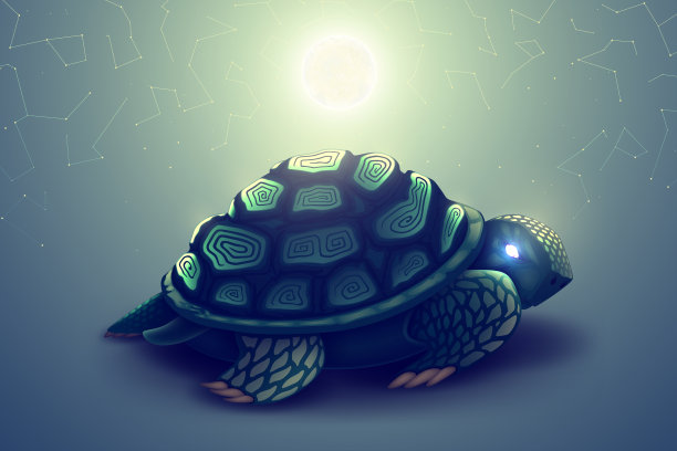 小海龟动画