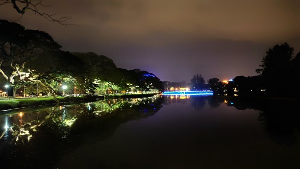 夜空与树