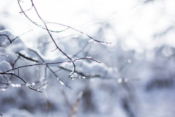 积雪寒冷小雪小寒大寒