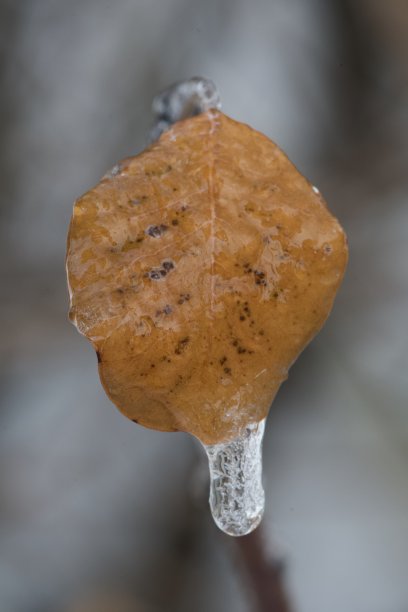 积雪寒冷小雪小寒大寒