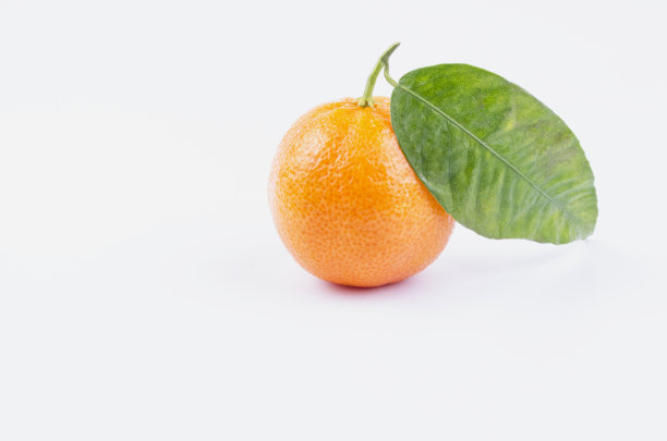 血橙图片水果摄影