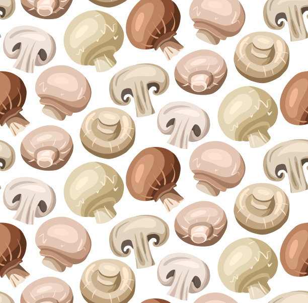 蘑菇插画