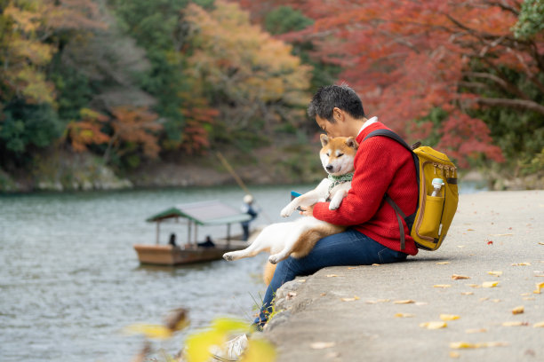 宠物狗狗图片头像