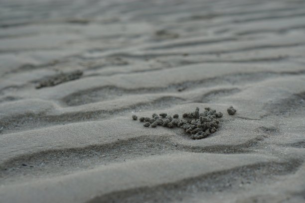 海边小浪花特写镜头素材