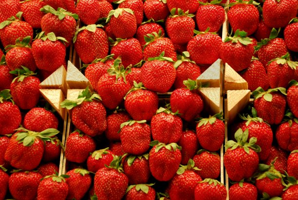 红色草莓背景