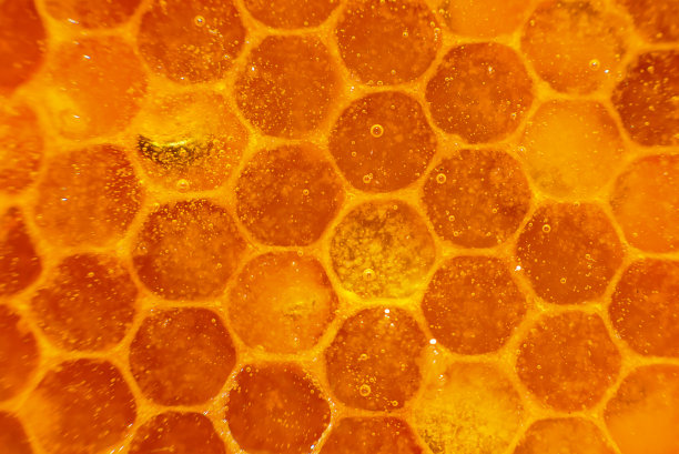 蜂蜜素材图片天然蜂蜜