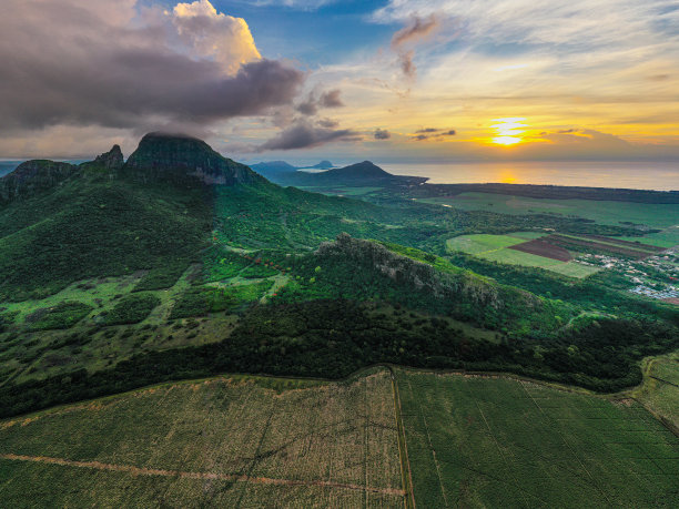 远山丛林美景