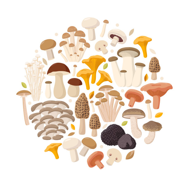 菌菇海报