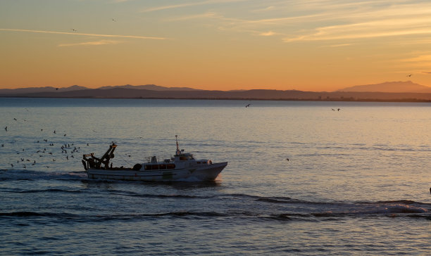 夕阳下海边捕鱼