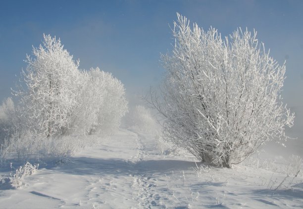 大雪时节