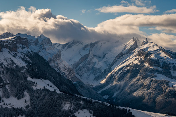 瑞士雪山草地