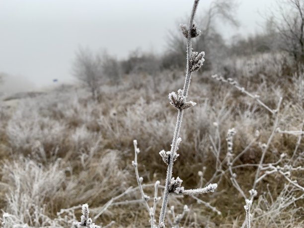 积雪寒冷小雪小寒大寒