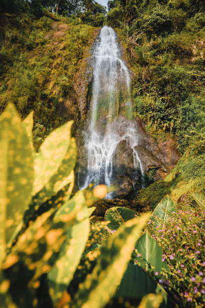 山林泉水