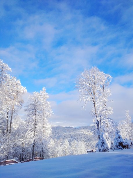 大雪时节