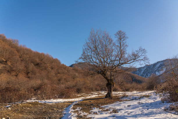 打古雪山山峰