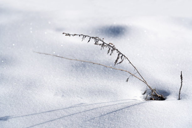 积雪寒冷小雪小寒大寒