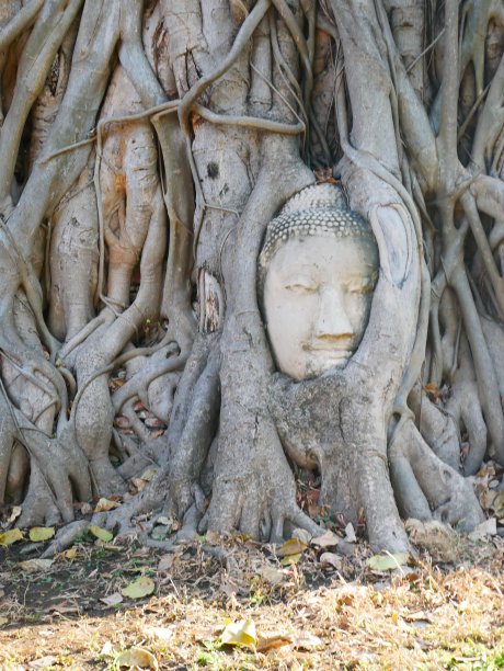 幽静的寺院