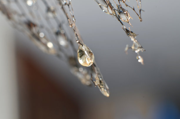 雨水透明水珠
