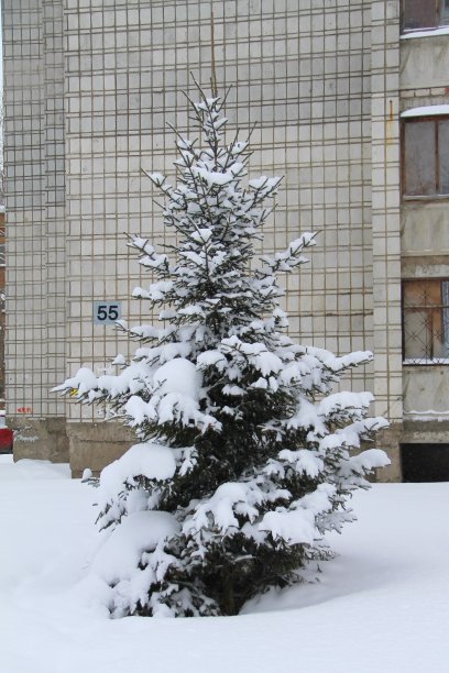 积雪寒冷小雪小寒大寒