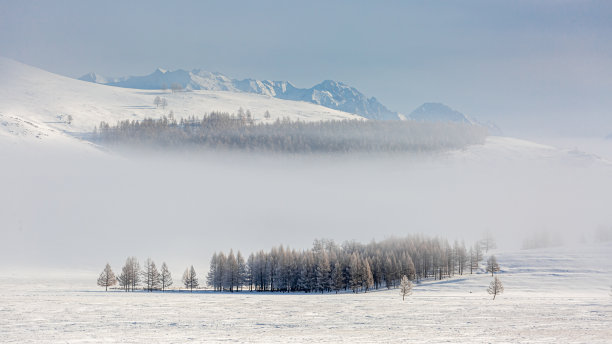 早晨大雪