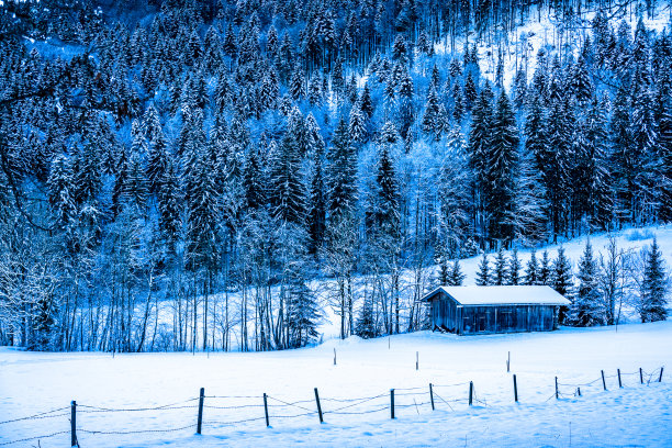 农家冬雪