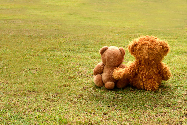 草地上的小熊玩偶