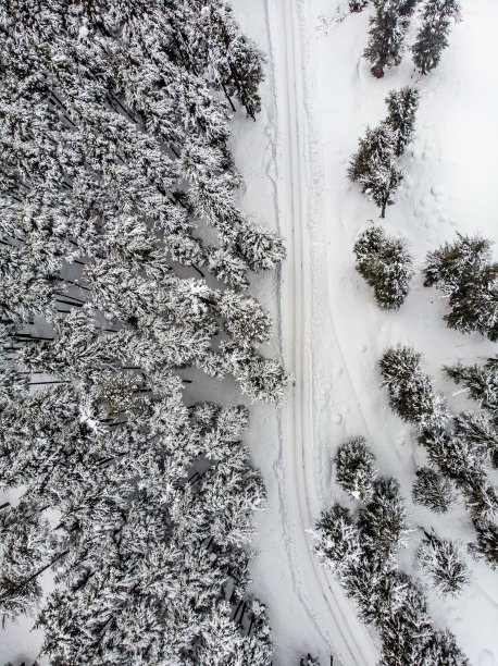 冰雪飞扬