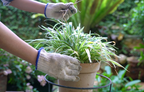 除草员