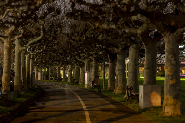 夜晚公园道路